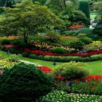 How to Garden: 7 Proven Tips to Avoid Costly Statuary Mistakes