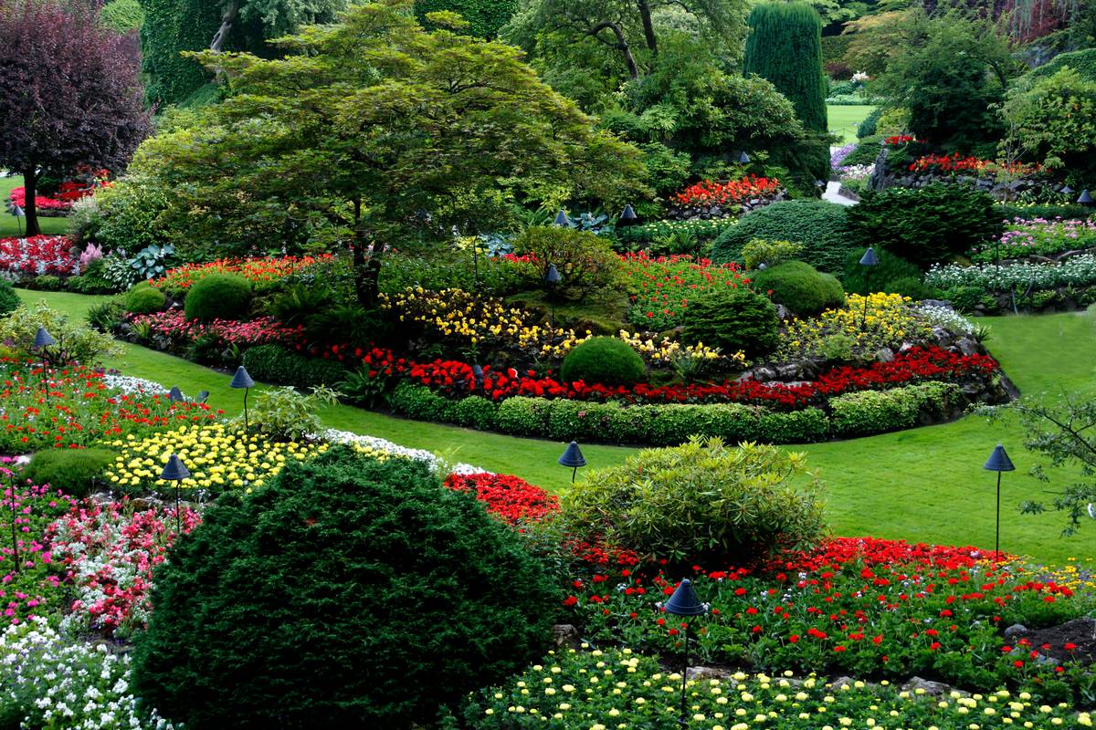 How to Garden: 7 Proven Tips to Avoid Costly Statuary Mistakes